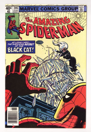The Amazing Spider-Man Vol 1 205  VF- (7.5)   (1980)   Newsstand