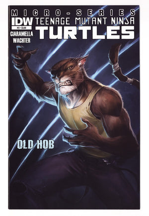 Teenage Mutant Ninja Turtles Villains Micro-Series 3 High Grade (2013)