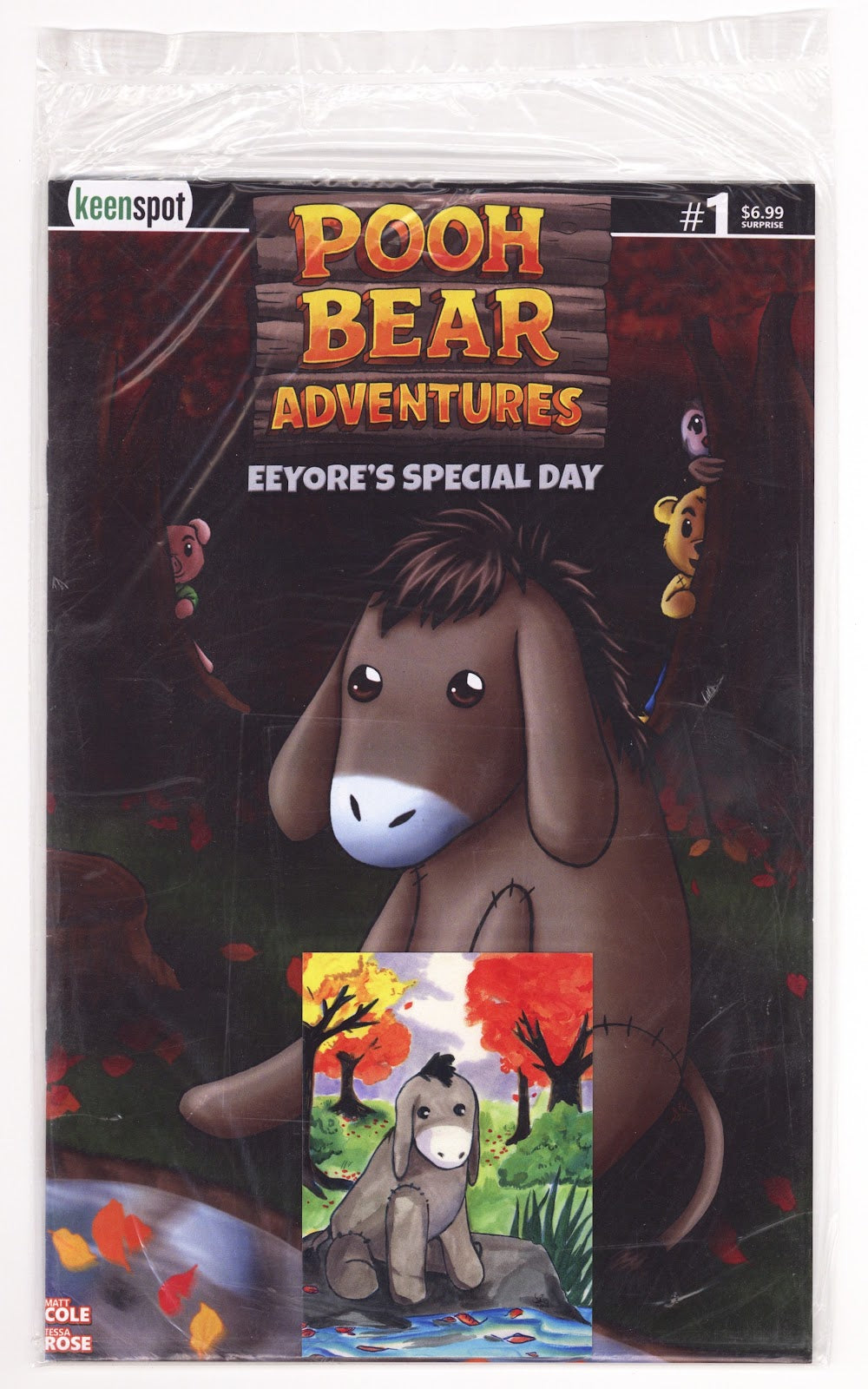 Pooh Bear Adventures Eeyores Special Day  1 Surprise  Variant   (2026)