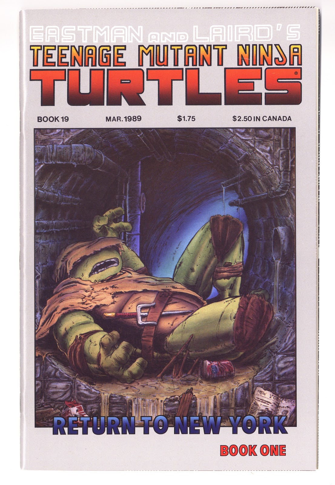Teenage Mutant Ninja Turtles Vol 1 19  NM- (9.2)   (1989)     