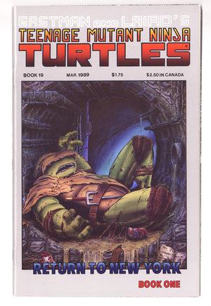 Teenage Mutant Ninja Turtles Vol 1 19  NM- (9.2)   (1989)
