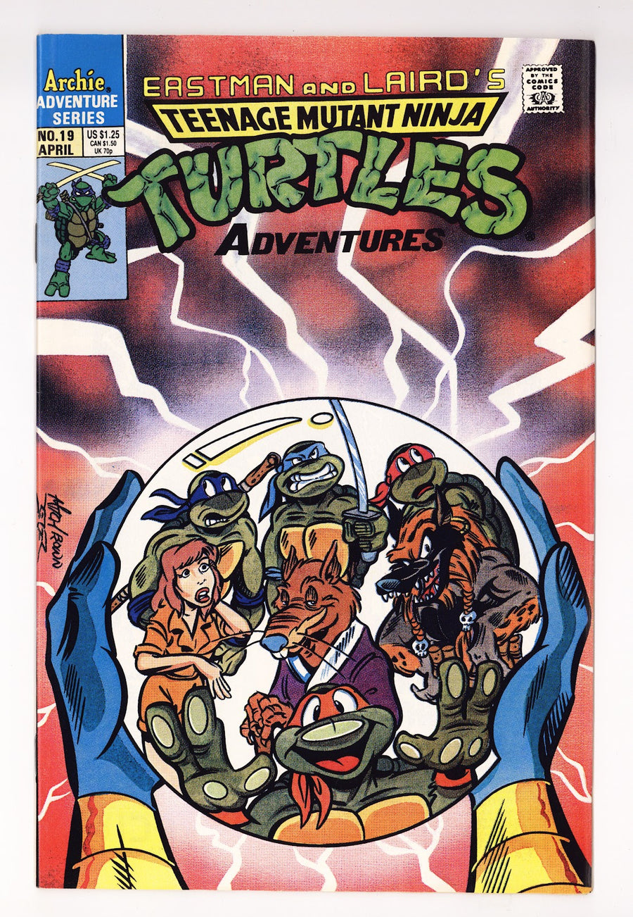 Teenage Mutant Ninja Turtles Adventures Vol 2 19  Mid Grade   (1991)     