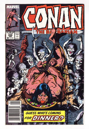 Conan the Barbarian Vol 1 228  Mid Grade   (1990)   Newsstand