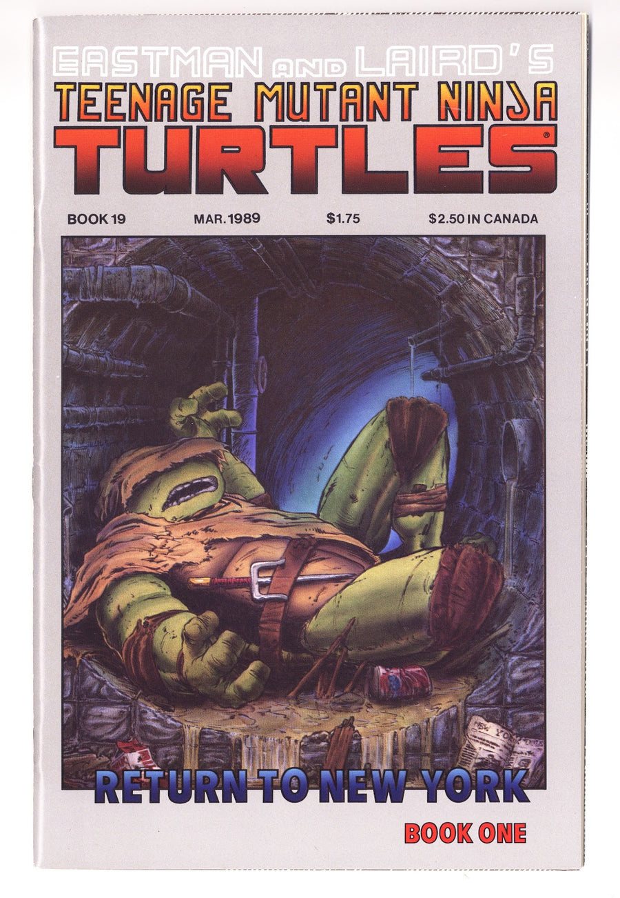 Teenage Mutant Ninja Turtles Vol 1 19  VF/NM (9.0)   (1989)     