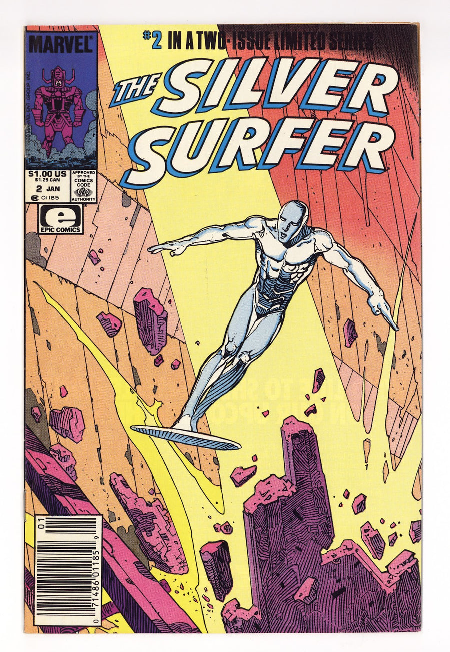 The Silver Surfer Vol 1 2  FN+ (6.5)   (1989)   Newsstand  