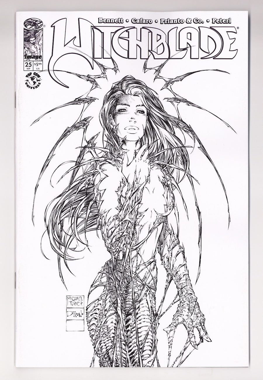 Witchblade Vol 3 25 Turner  Variant   (2026)