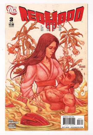 Red Hood: The Lost Days 3 High Grade (2010)
