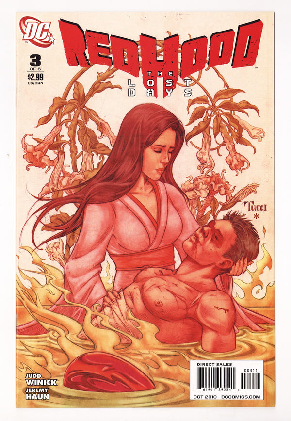 Red Hood: The Lost Days 3 High Grade (2010)