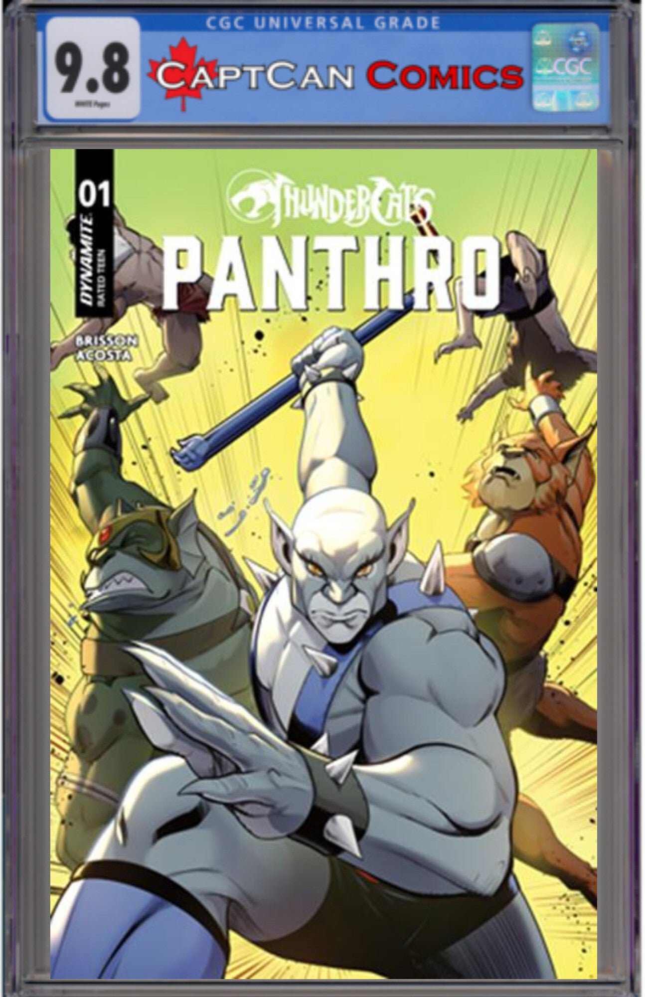 THUNDERCATS PANTHRO #1 CVR C ROBERT QUINN VAR