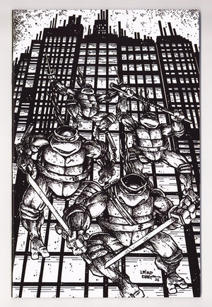 Teenage Mutant Ninja Turtles Vol 6 20 (300) Eastman  Incentive NM (9.4) NM (9.4) (2026)