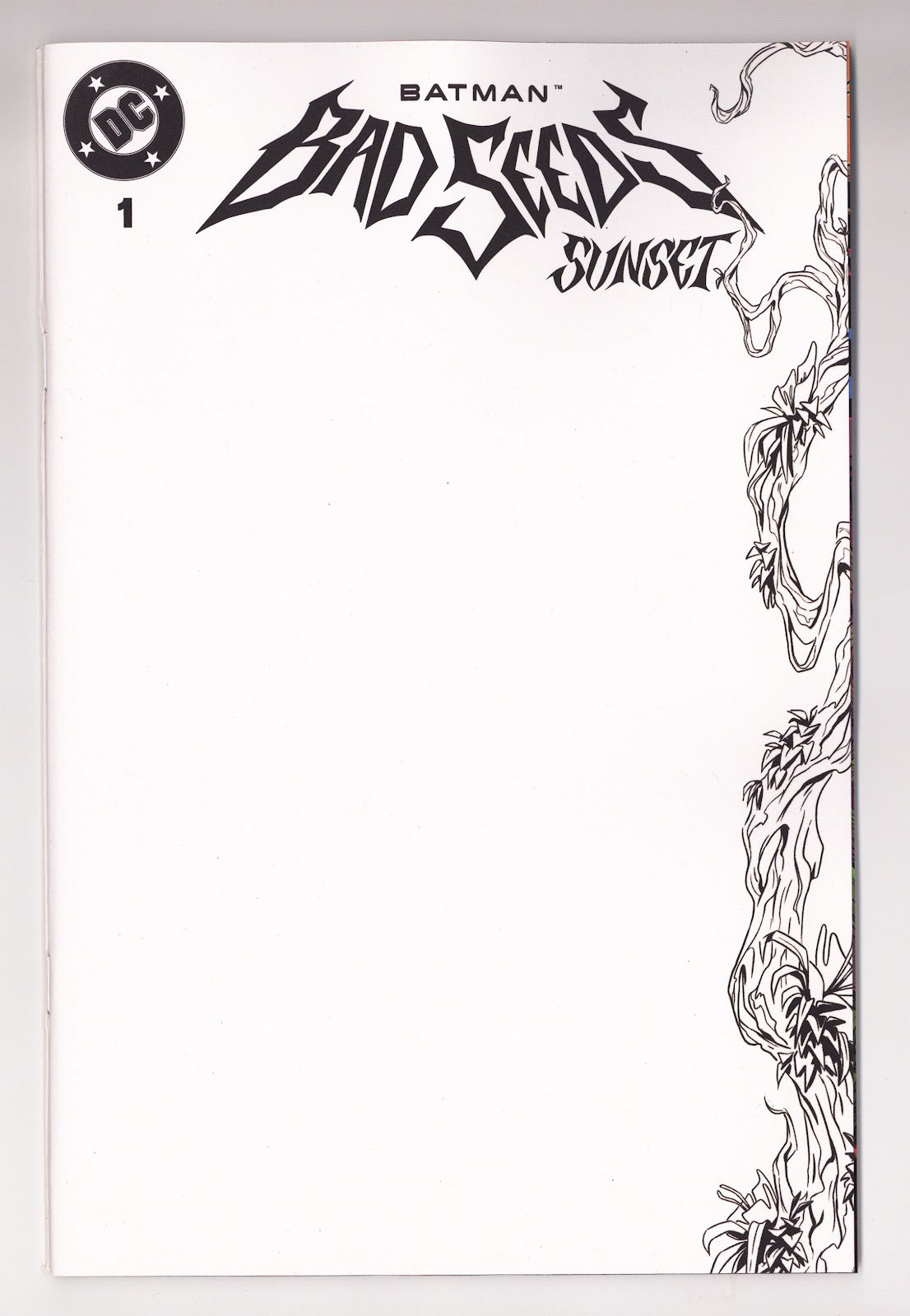 Batman Bad Seeds Sunset 1 Blank Variant (2026)