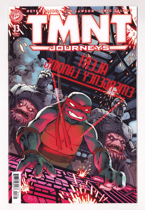 TMNT: Journeys 13 Variant (2026)