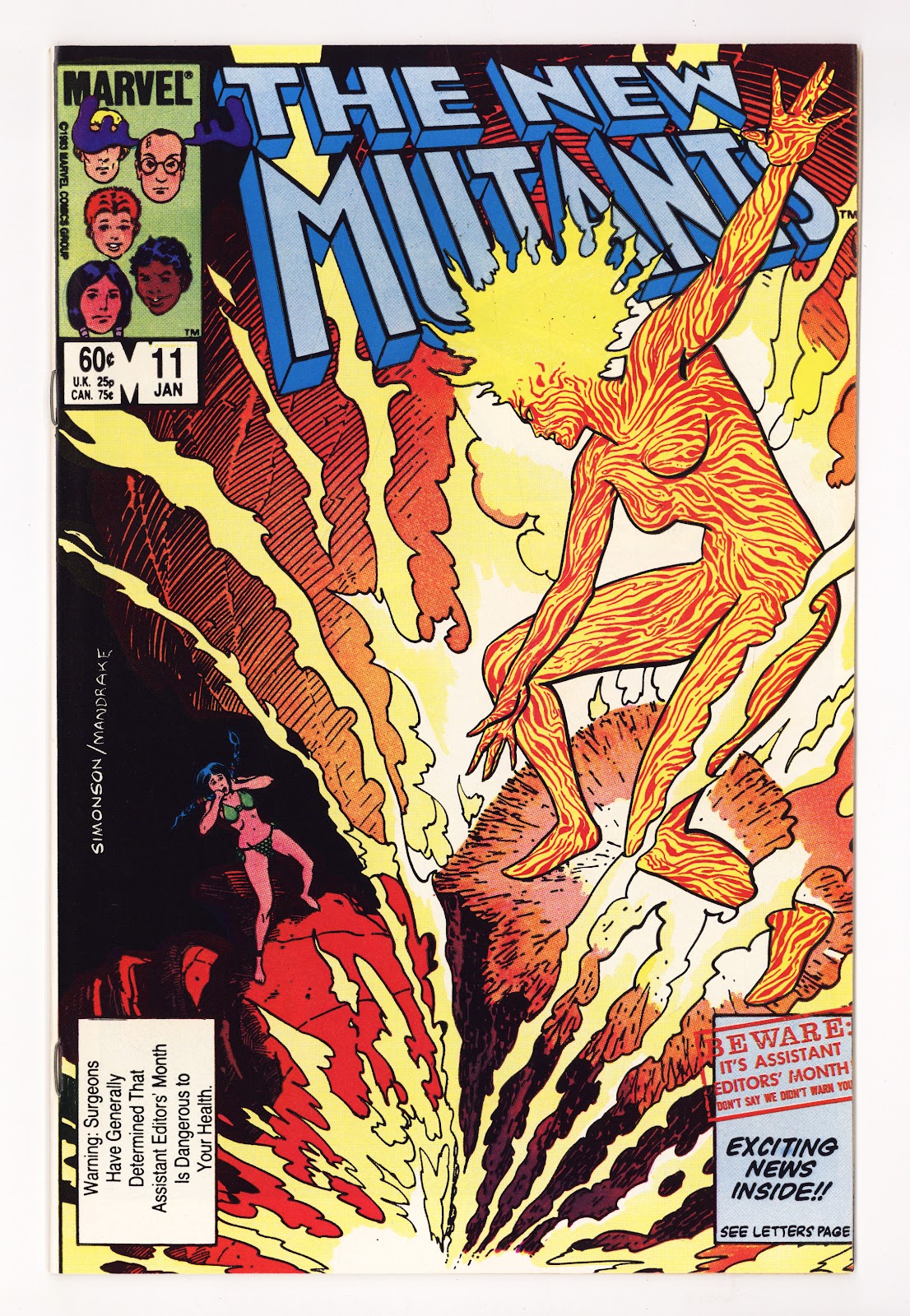 The New Mutants Vol 1 11 High Grade (1984) Direct 