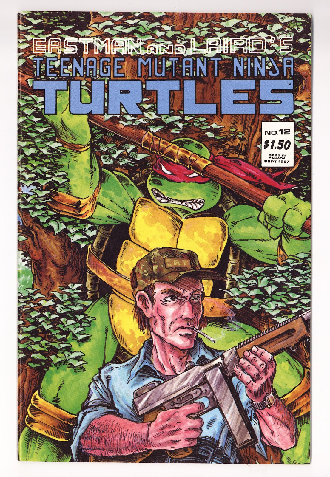 Teenage Mutant Ninja Turtles Vol 1 12  VF (8.0)   (1987)     