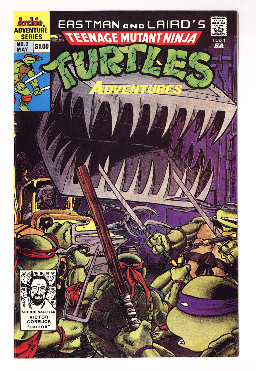 Teenage Mutant Ninja Turtles Adventures Vol 2 2  Mid Grade   (1989)     