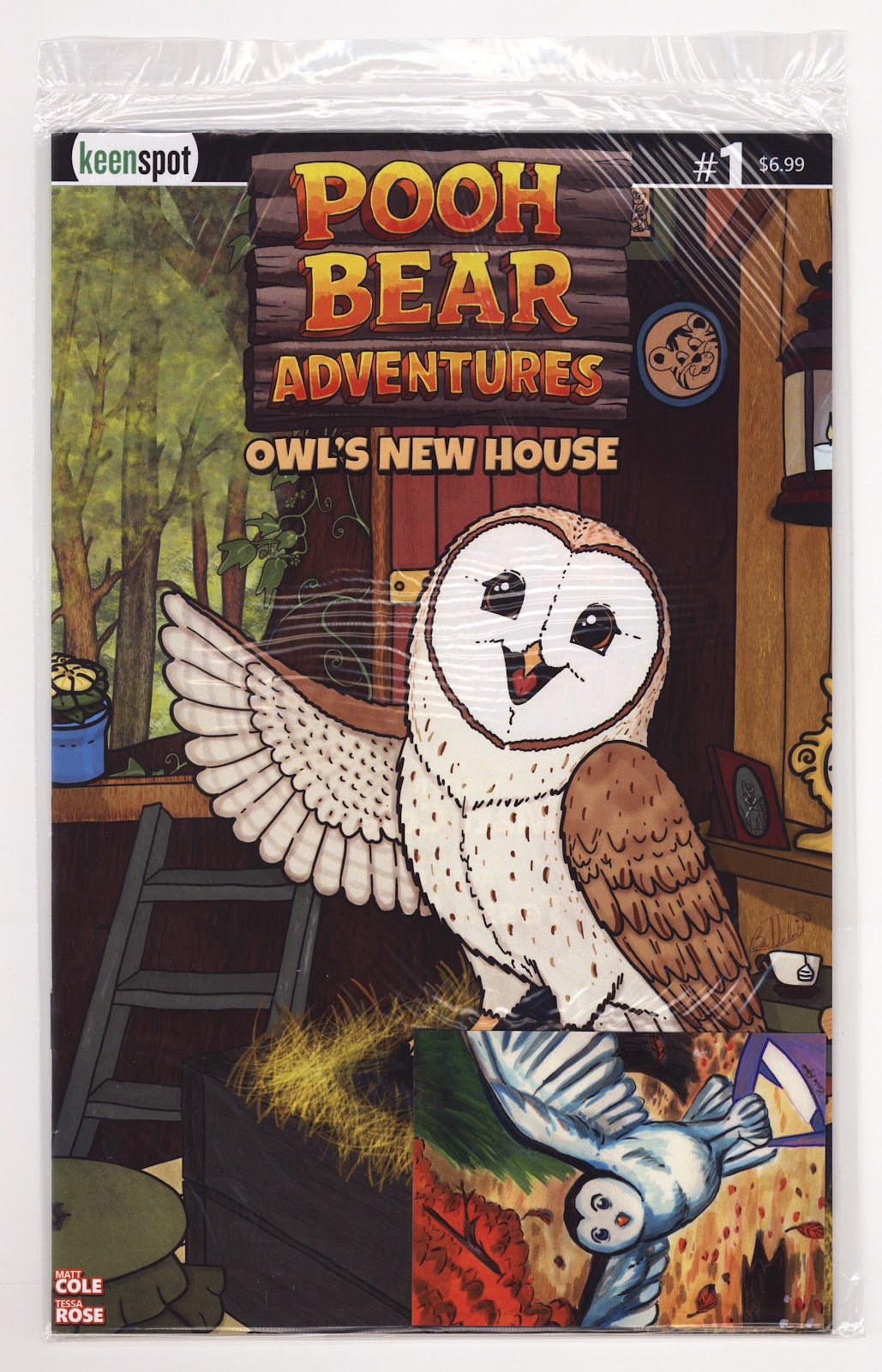 Pooh Bear Adventures Owls New House #1 (2026) Variant