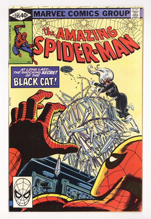 The Amazing Spider-Man Vol 1 205 FN/VF (7.0) (1980)