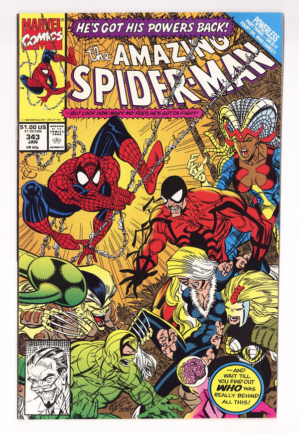 The Amazing Spider-Man Vol 1 343 High Grade (1991)