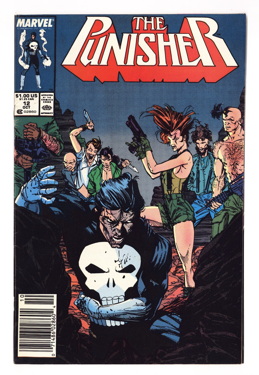 The Punisher Vol 2 12  Mid Grade   (1988)   Newsstand