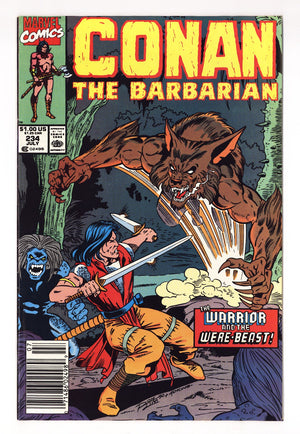 Conan the Barbarian Vol 1 234  Mid Grade   (1990)   Newsstand