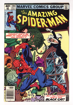 The Amazing Spider-Man Vol 1 204  FN/VF (7.0)   (1980)   Newsstand
