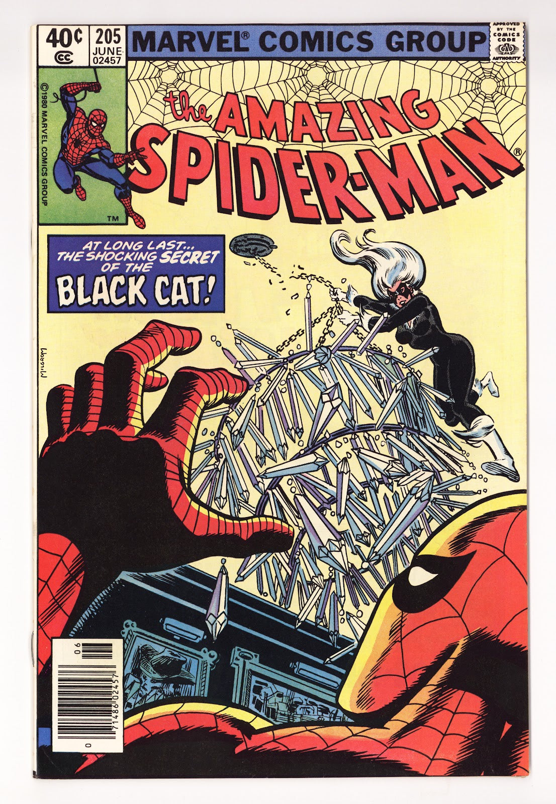 The Amazing Spider-Man Vol 1 205  FN/VF (7.0)   (1980)   Newsstand