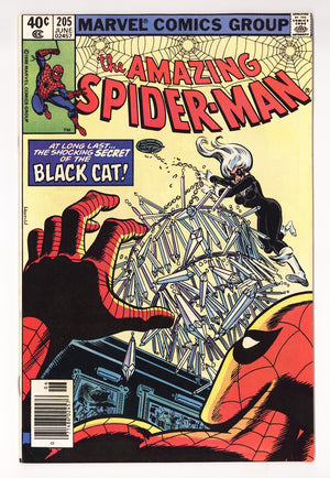 The Amazing Spider-Man Vol 1 205  FN/VF (7.0)   (1980)   Newsstand