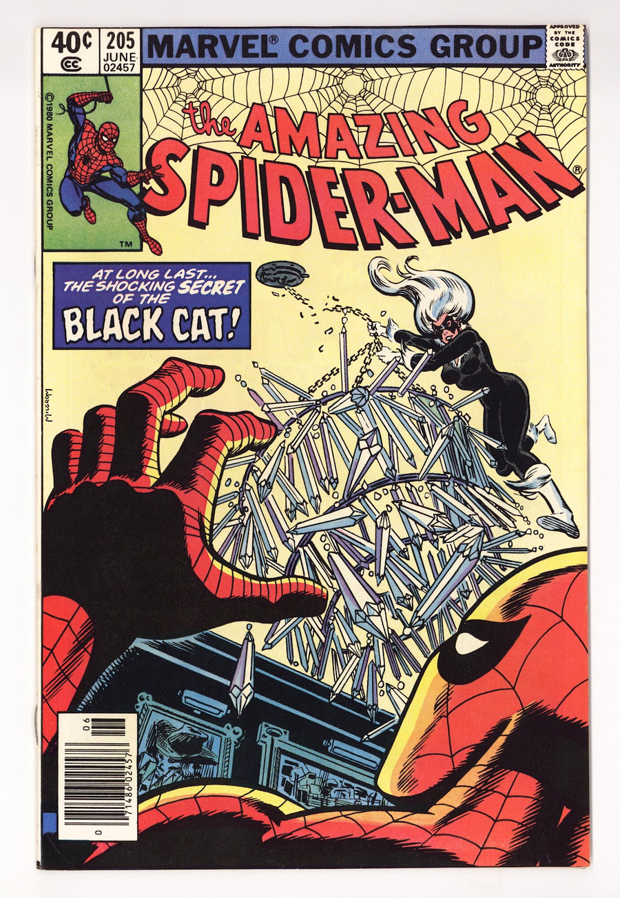 The Amazing Spider-Man Vol 1 205  FN/VF (7.0)   (1980)   Newsstand