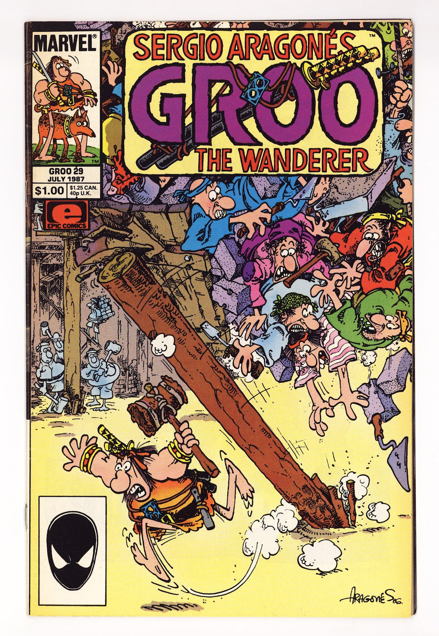 Sergio Aragones Groo the Wanderer Vol 2 29  High Grade   (1987)
