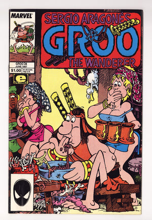 Sergio Aragones Groo the Wanderer Vol 2 28  Mid Grade   (1987)   Direct