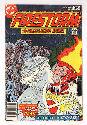 Firestorm Vol 1 3  VG+ (4.5)   (1978)