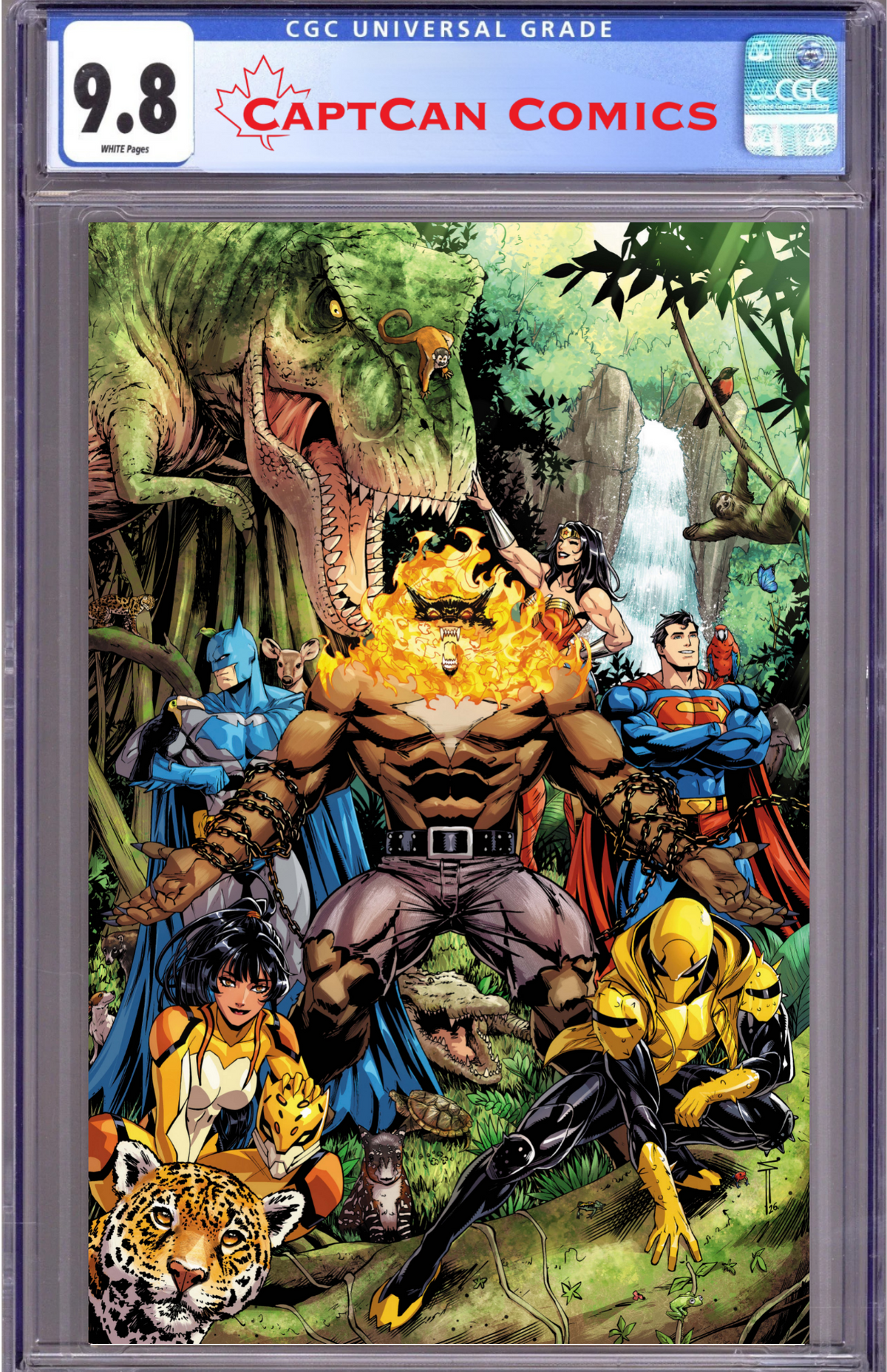 JUSTICE LEAGUE DARK REALM SPECIAL #1 (ONE SHOT) CVR D SEG ACUNA CARD STOCK VAR