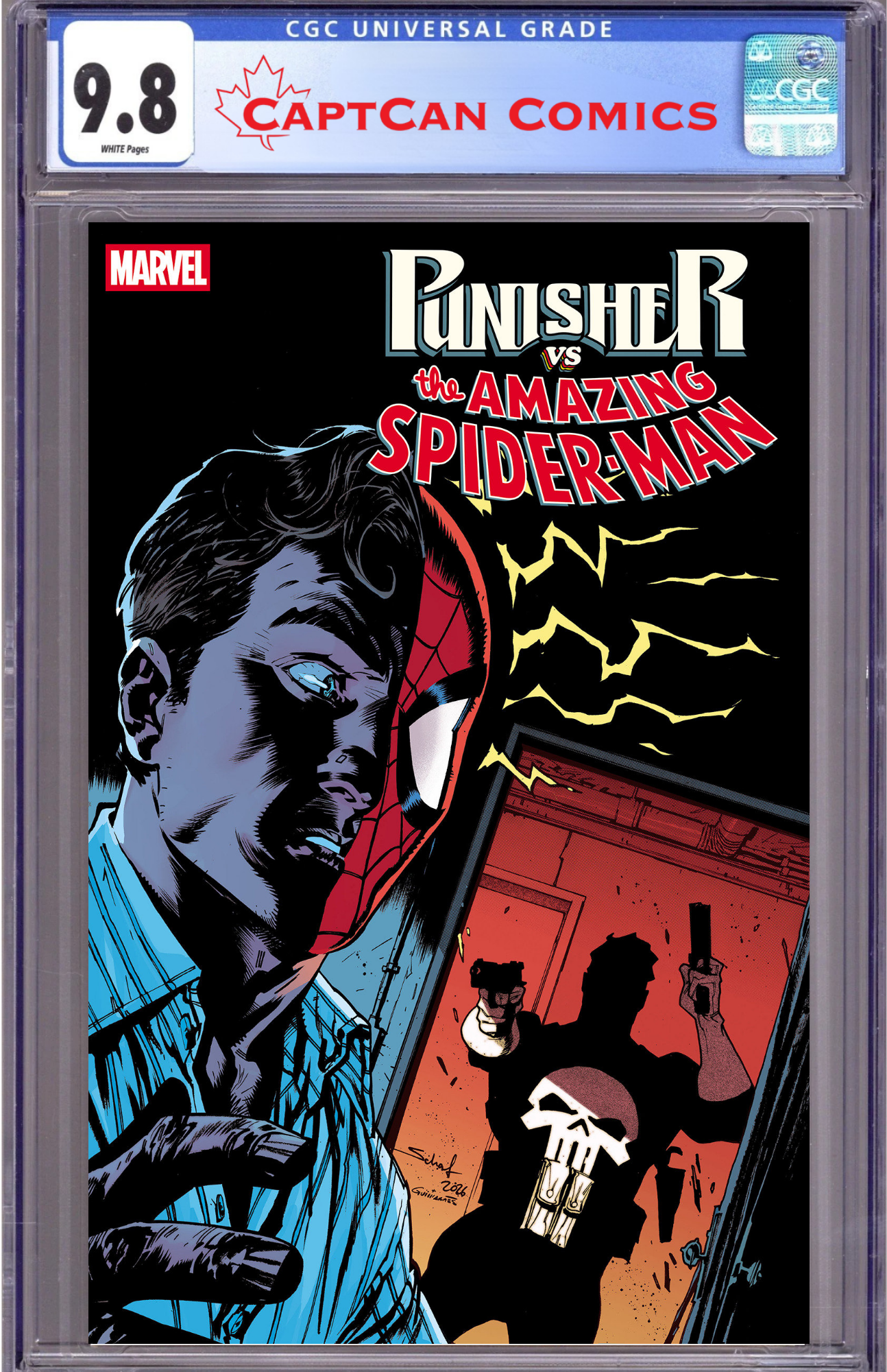 PUNISHER VS. SPIDER-MAN #4