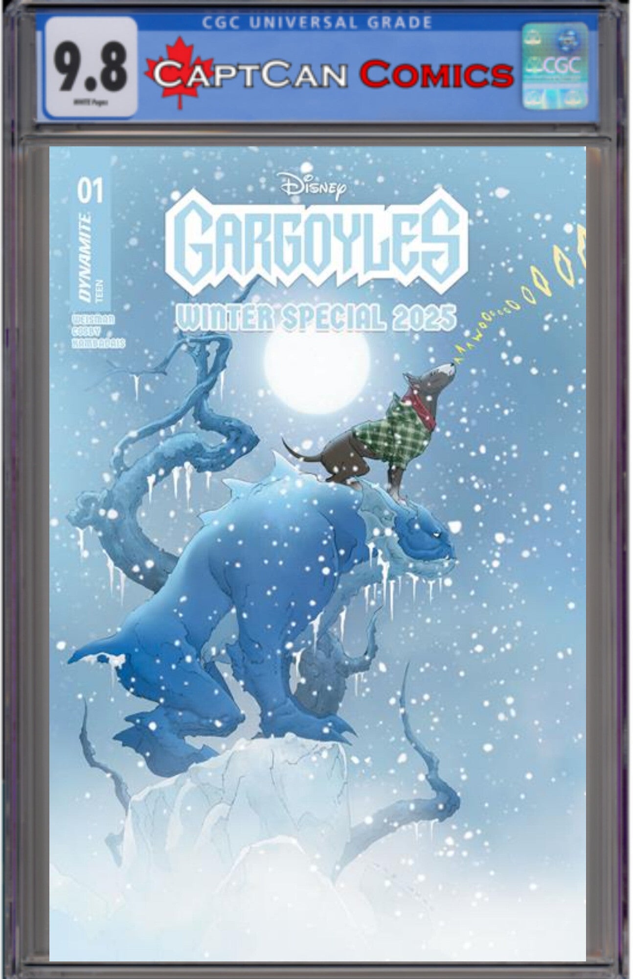 GARGOYLES WINTER SPECIAL 2025 #1 (ONE SHOT) CVR A JAE LEE