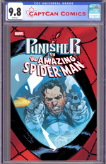 PUNISHER VS. SPIDER-MAN #5 thumbnail