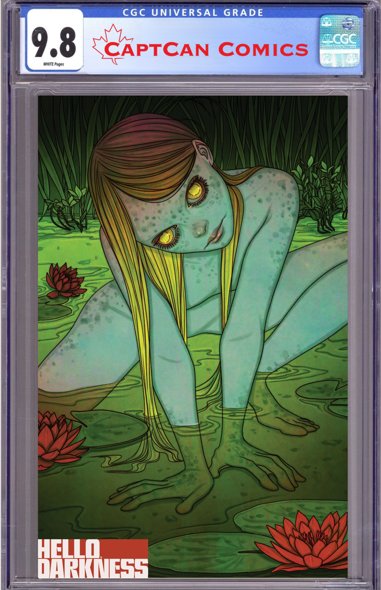 HELLO DARKNESS #26 B VARIANT (DRESSED, FRISON)