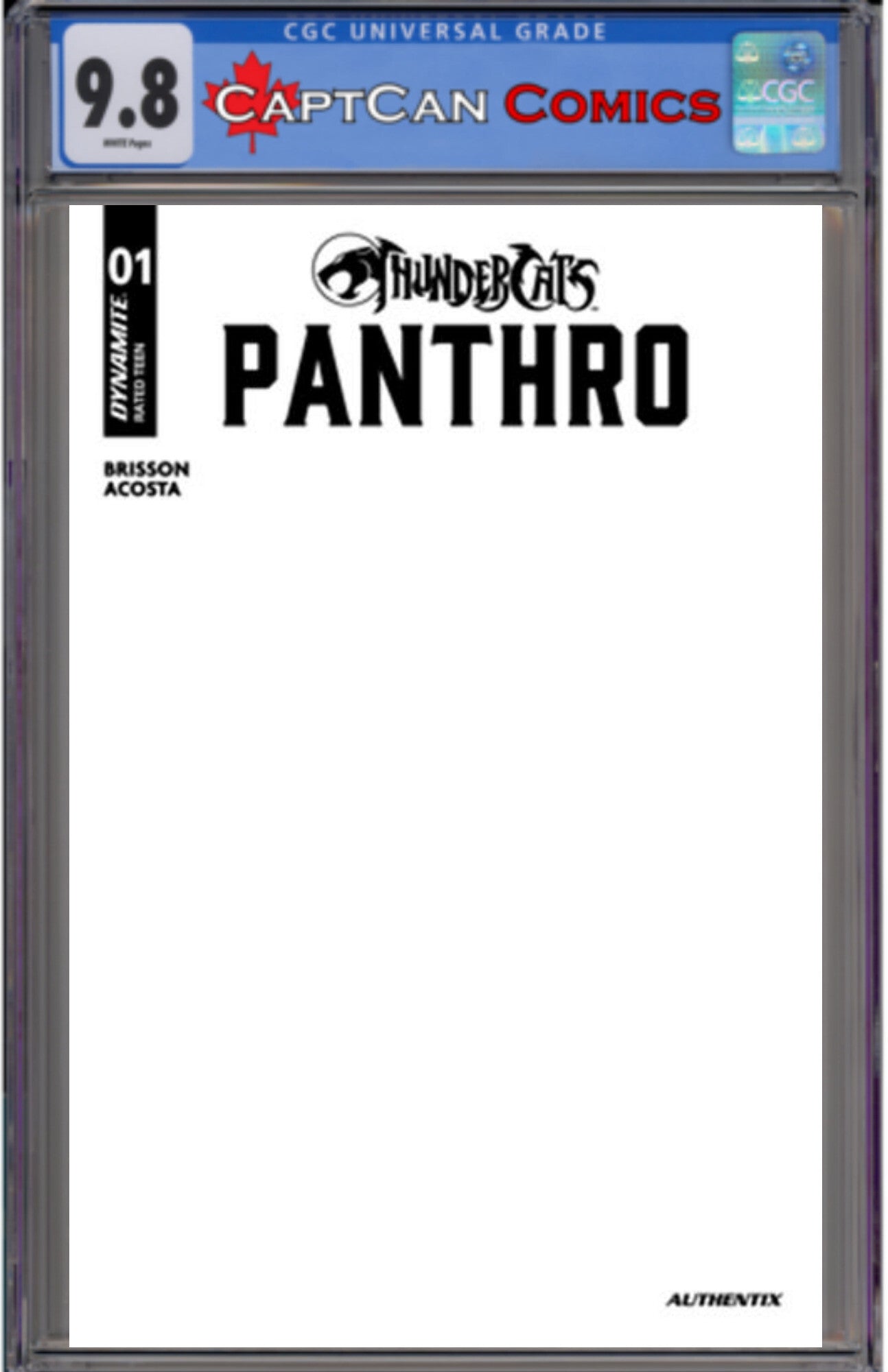 THUNDERCATS PANTHRO #1 CVR E BLANK AUTHENTIX VAR