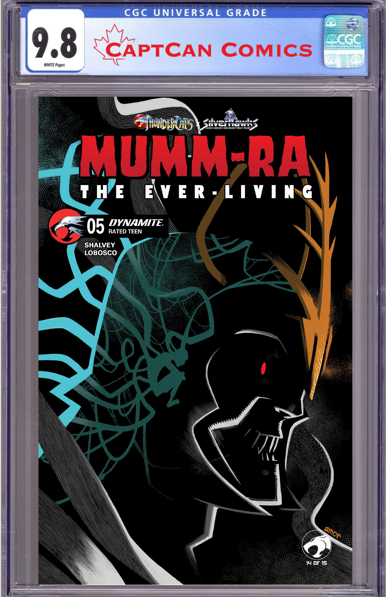 MUMM RA THE EVER LIVING #5 CVR C JOHN AMOR VAR