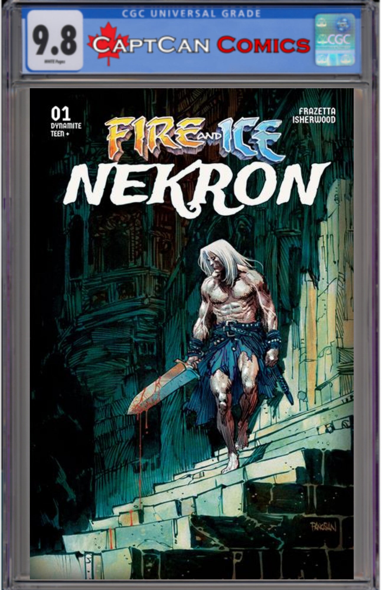 FIRE AND ICE NEKRON #1 (ONE SHOT) CVR A DAN PANOSIAN