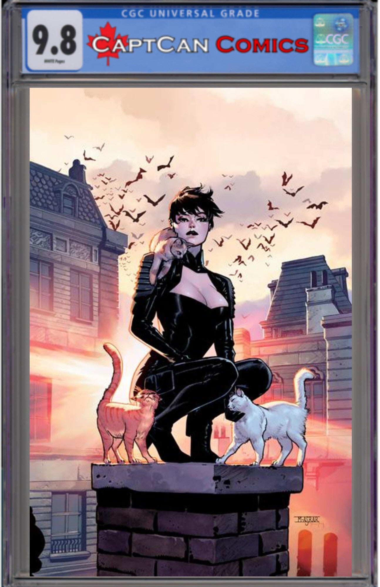 CATWOMAN #84 CVR C MAHMUD ASRAR CARD STOCK VAR