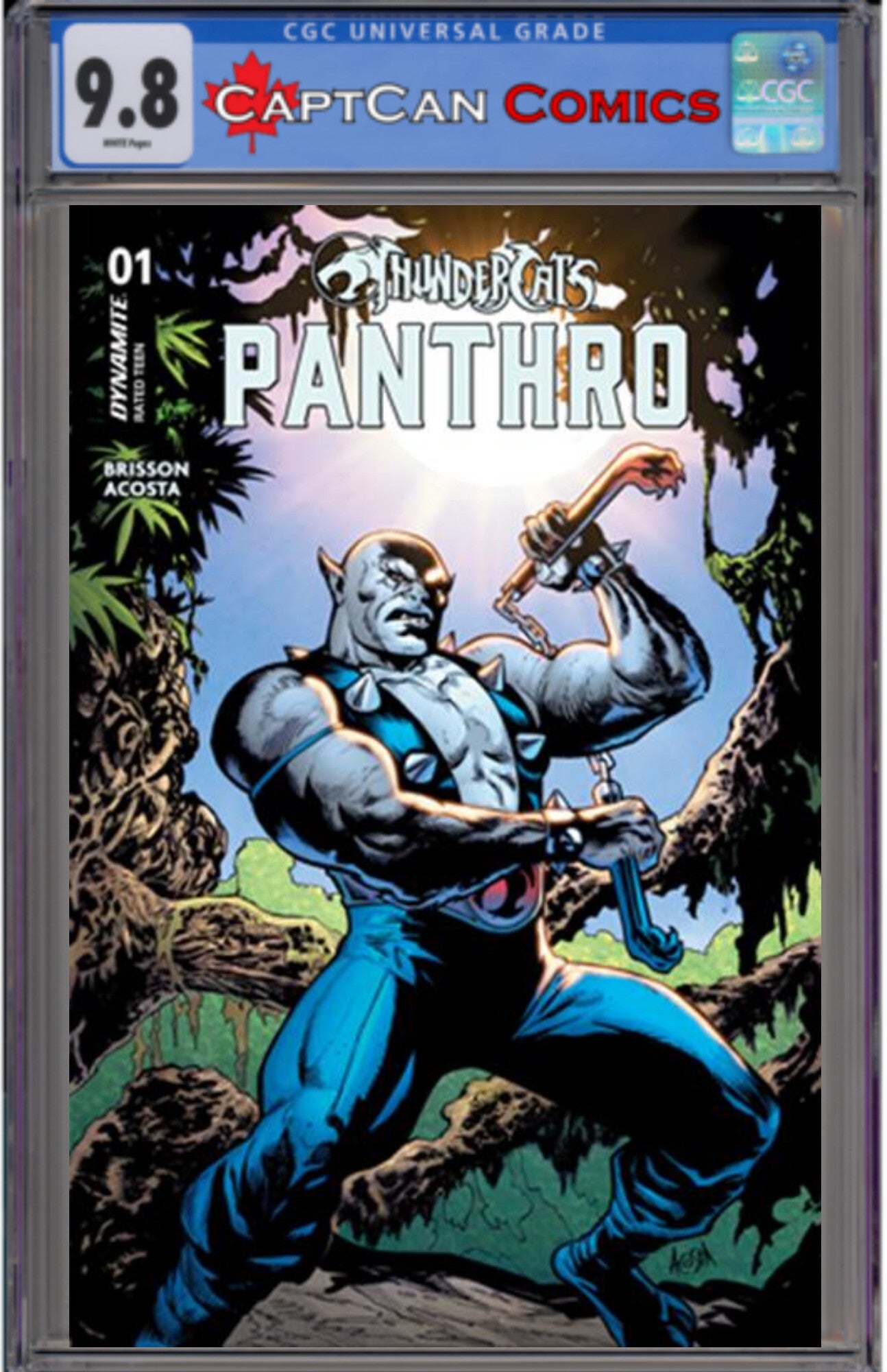 THUNDERCATS PANTHRO #1 CVR A DAVE ACOSTA
