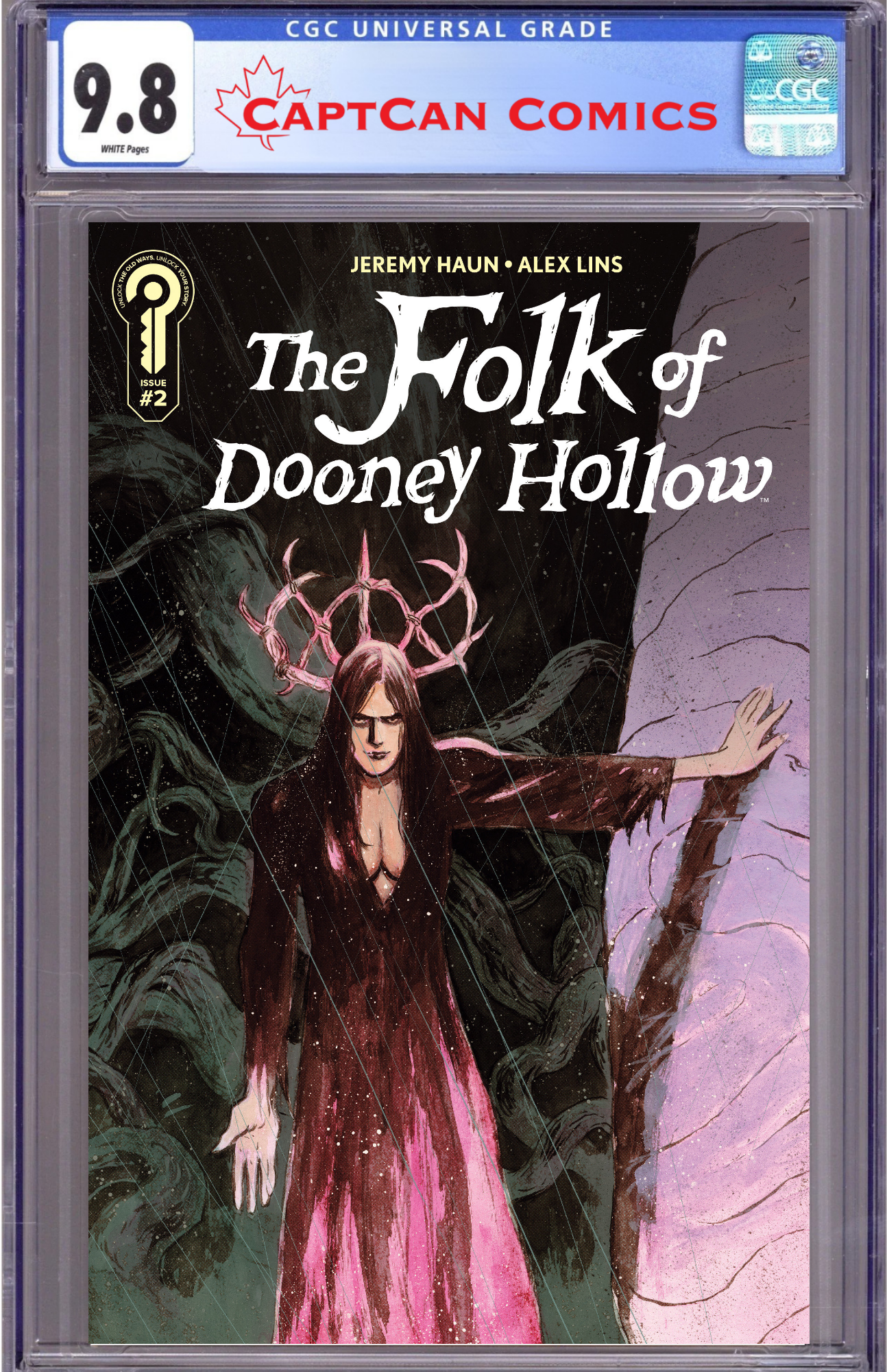 THE FOLK OF DOONEY HOLLOW #2 COVER B ALEX LINS