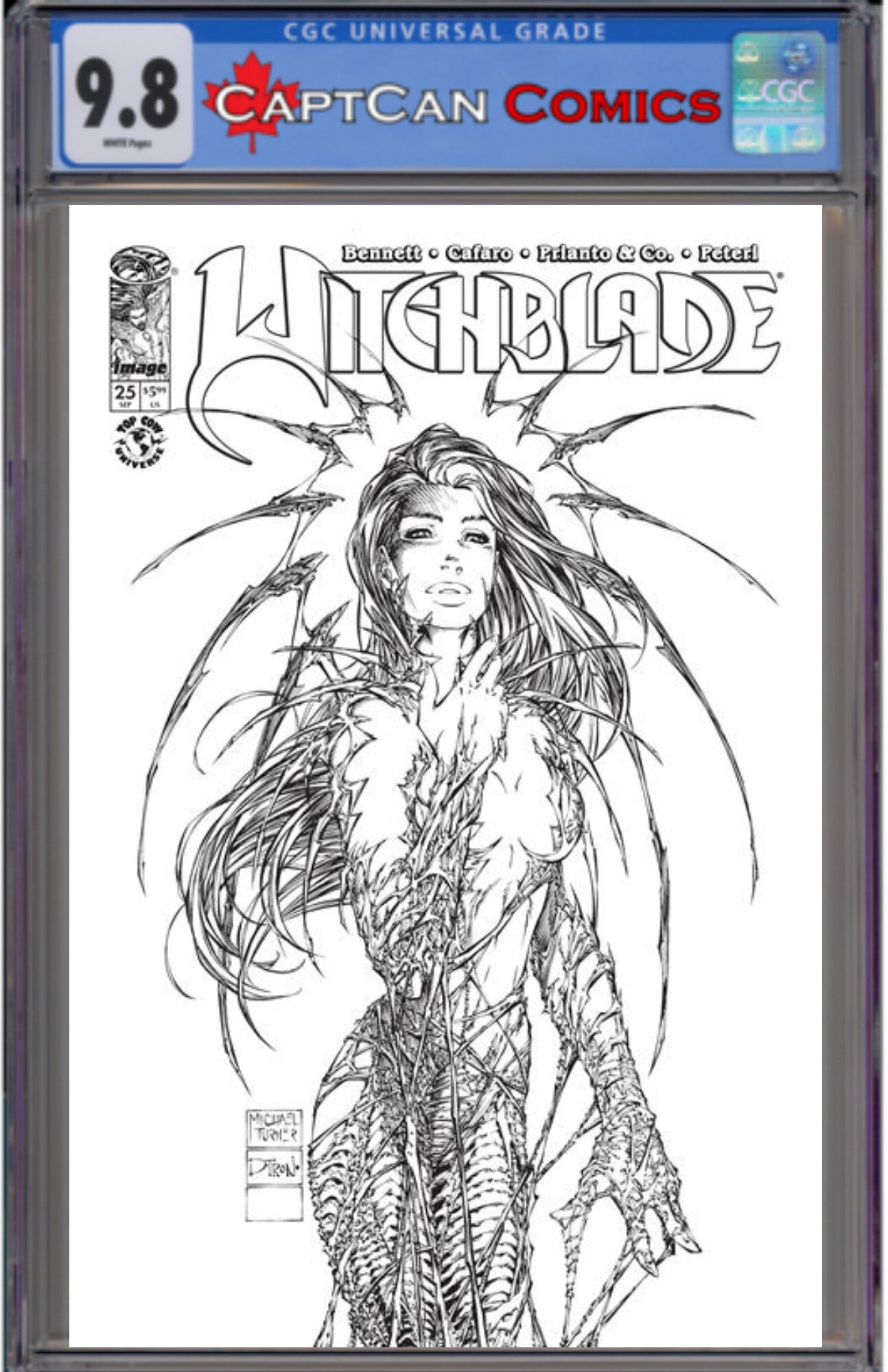 WITCHBLADE #25 CVR B MICHAEL TURNER & DTRON VAR