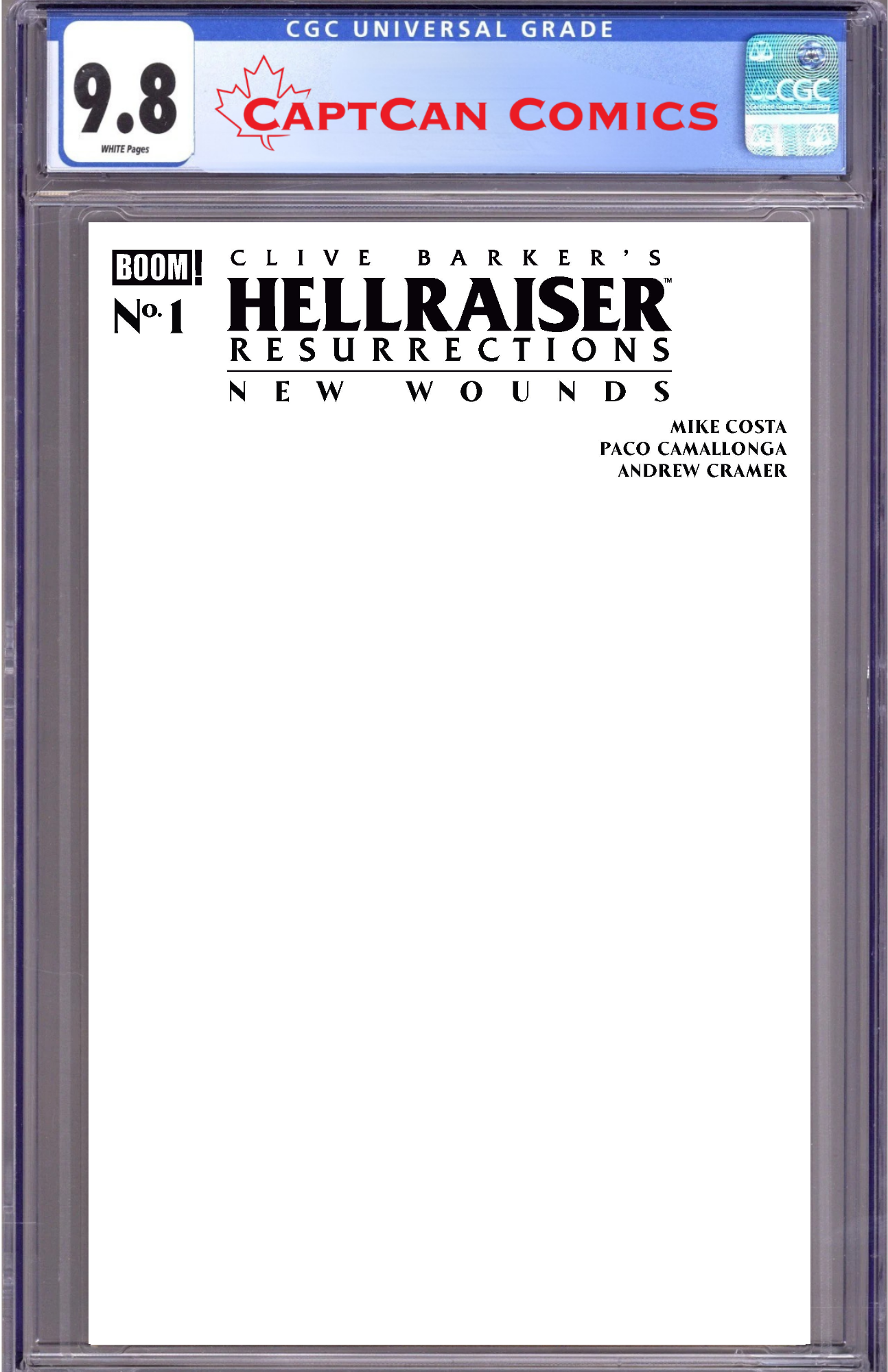 HELLRAISER: RESURRECTIONS - NEW WOUNDS #1 C BLANK SKETCH VARIANT