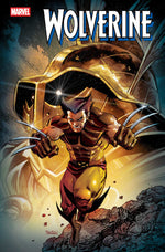 WOLVERINE #20 thumbnail