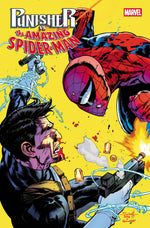 PUNISHER VS. SPIDER-MAN #2 thumbnail