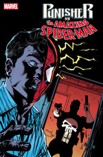 PUNISHER VS. SPIDER-MAN #4 thumbnail