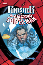 PUNISHER VS. SPIDER-MAN #5 thumbnail
