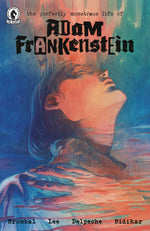 THE PERFECTLY MONSTROUS LIFE OF ADAM FRANKENSTEIN ONE-SHOT (CVR B) (FILIPE ANDRADE) thumbnail