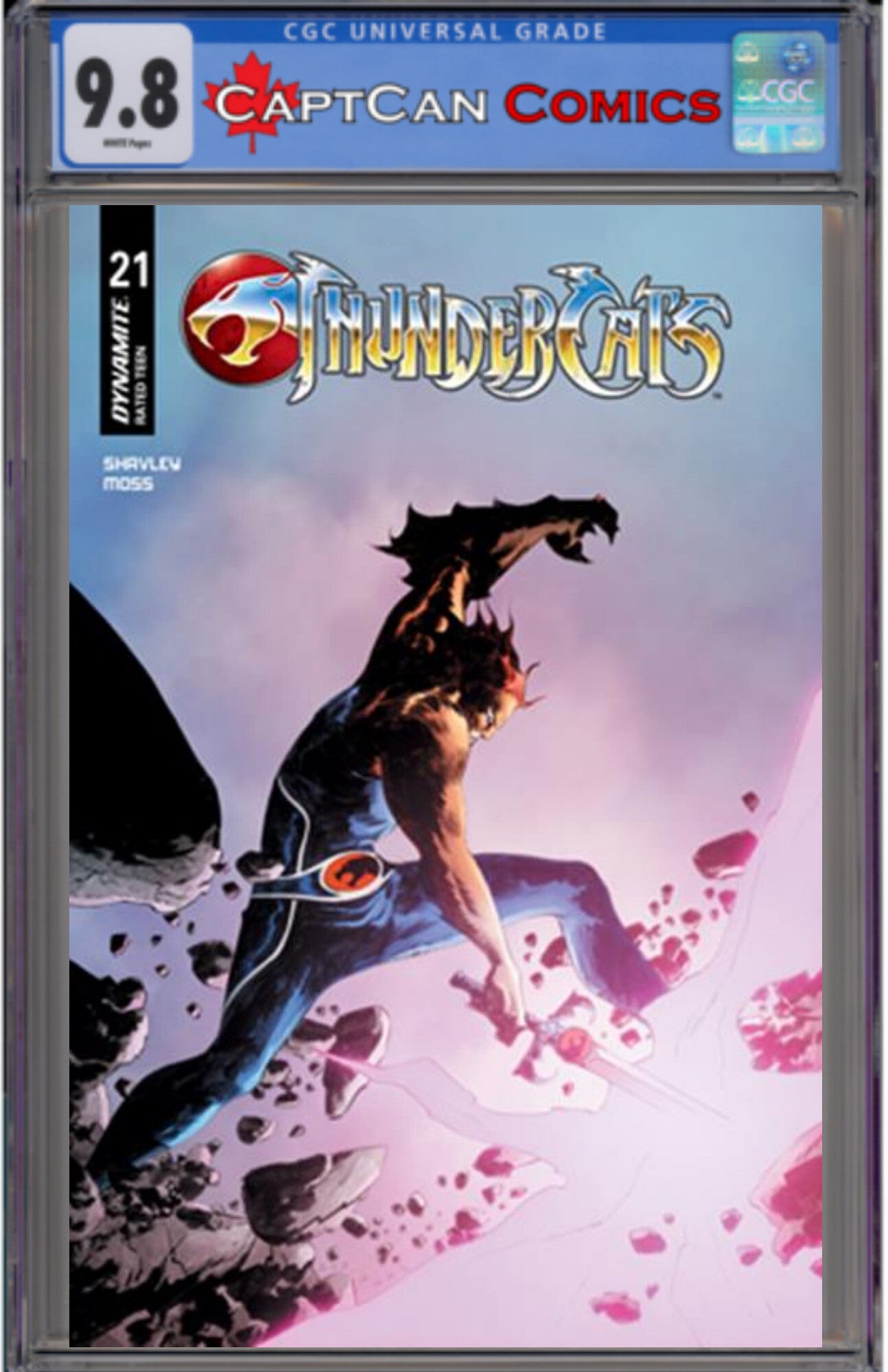 THUNDERCATS #21 CVR C JAE LEE JUNE CHUNG VAR